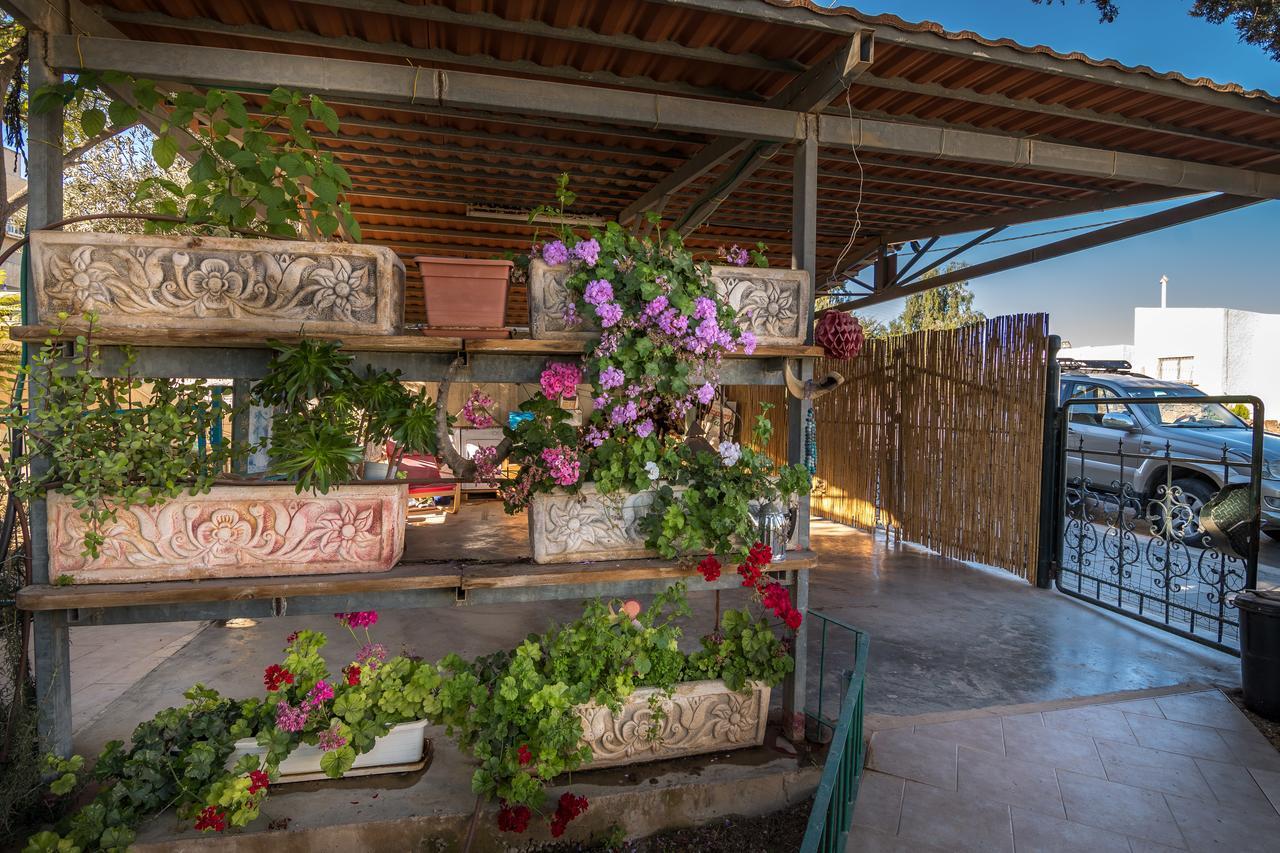 Desert Bird Guest House Arad Exterior photo